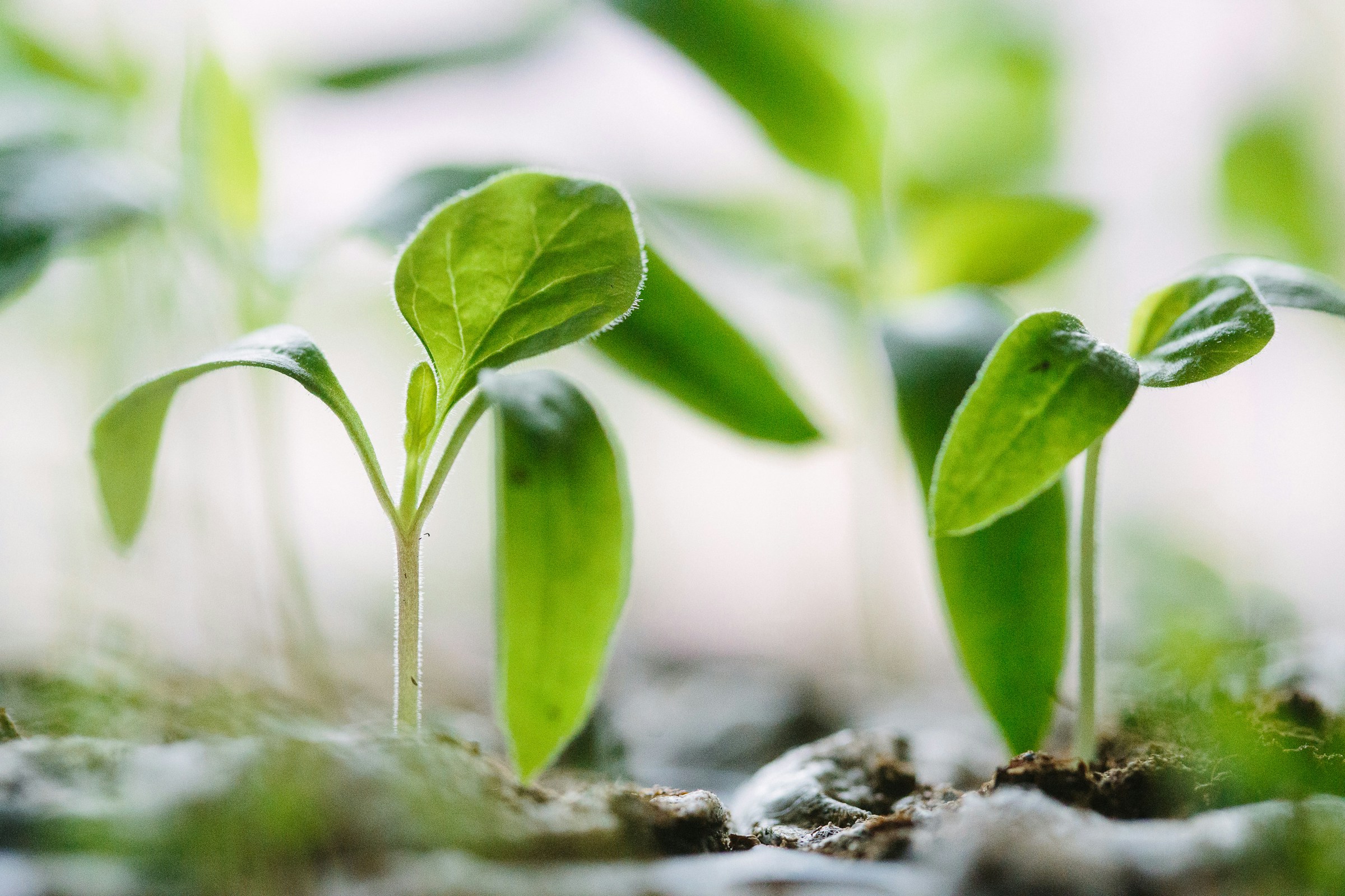 Préserver la biodiversité
