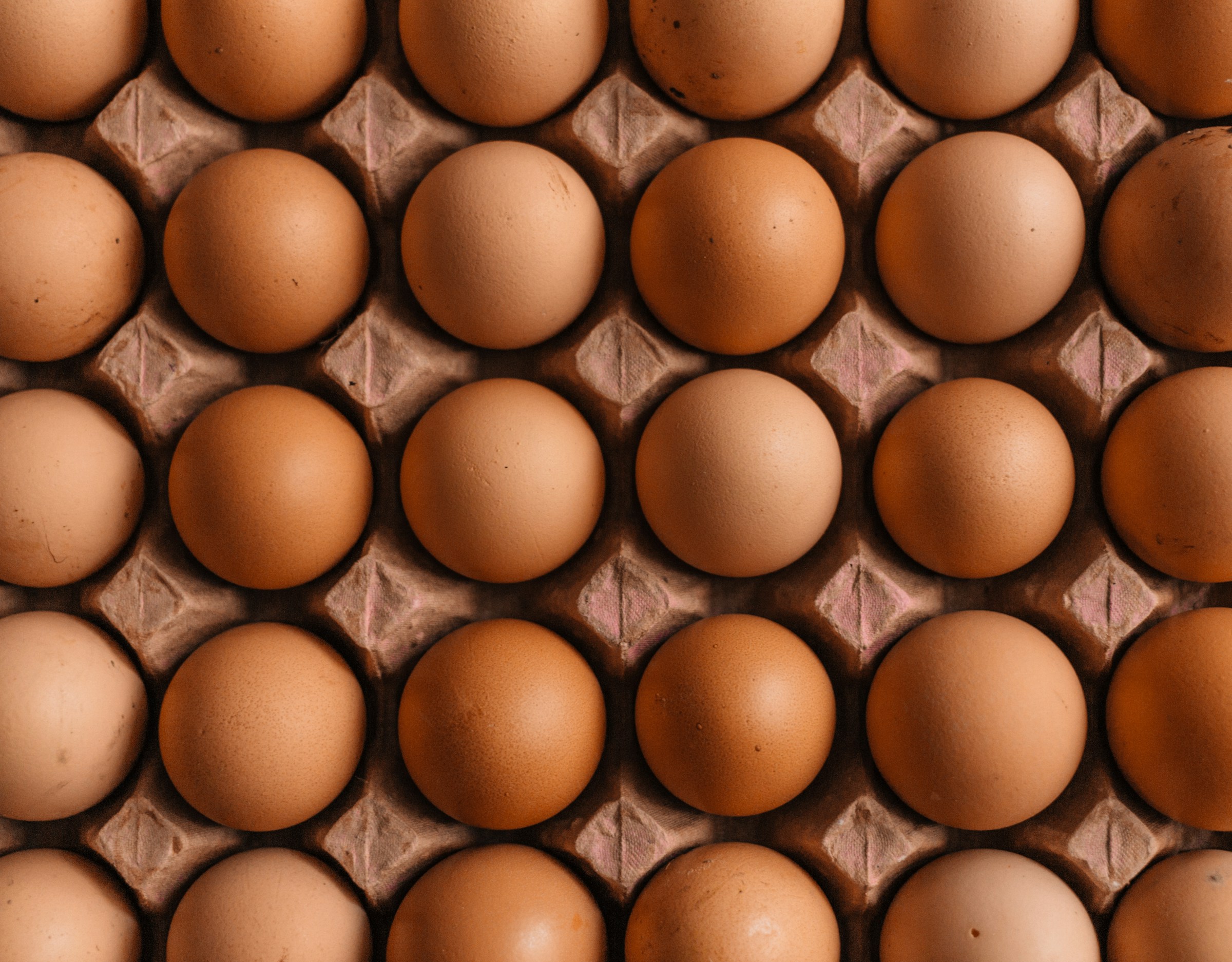 Fipronil dans les oeufs? Le vrai scandale est ailleurs